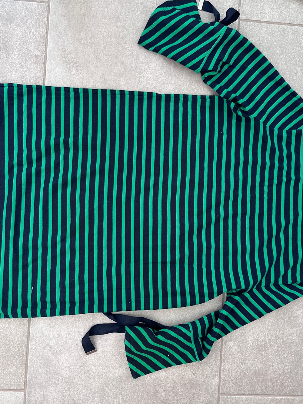 Ralph Lauren Navy and Green Striped Long Sleeve dress
